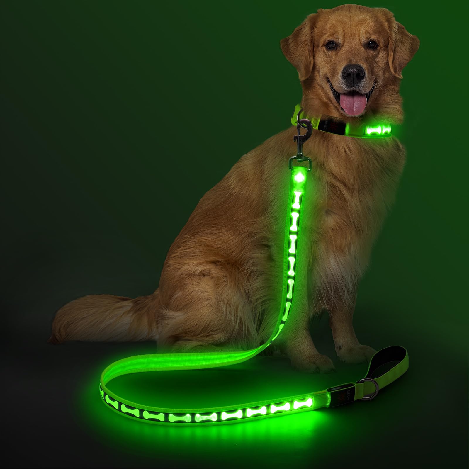Flashseen Correa para perro iluminada, correa LED de 4 pies con luz tipo C recargable, luces de seguridad de nailon brillante para caminar por la noche (verde)