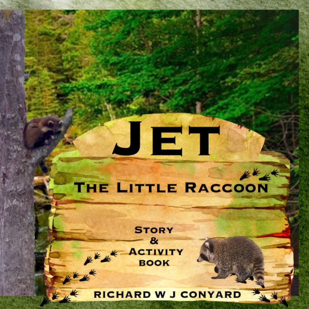 Jet The Little Raccoon: Story & Activity Book