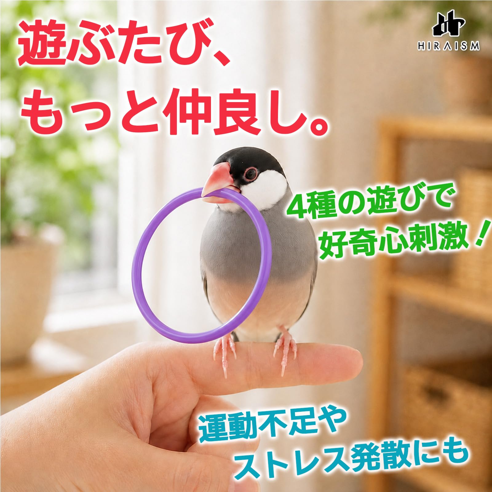 Amazon.co.jp: HIRAISM インコ おもちゃ 知育 バードトイ 小鳥 オウム