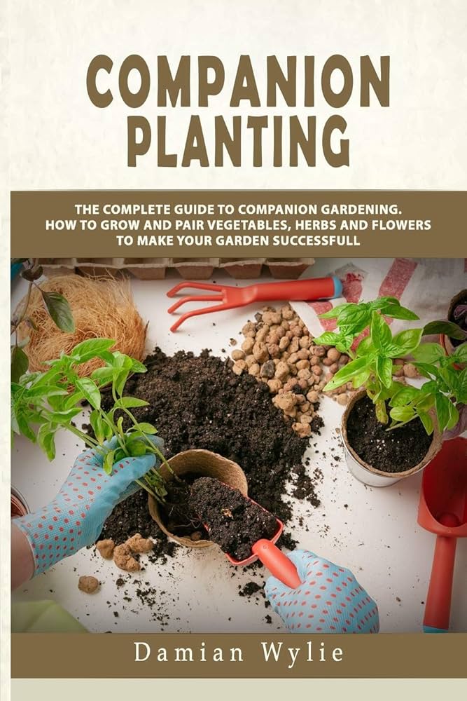 洋書　Planting Companions 81A9wRb72xL._UF350,350_QL50_.jpg