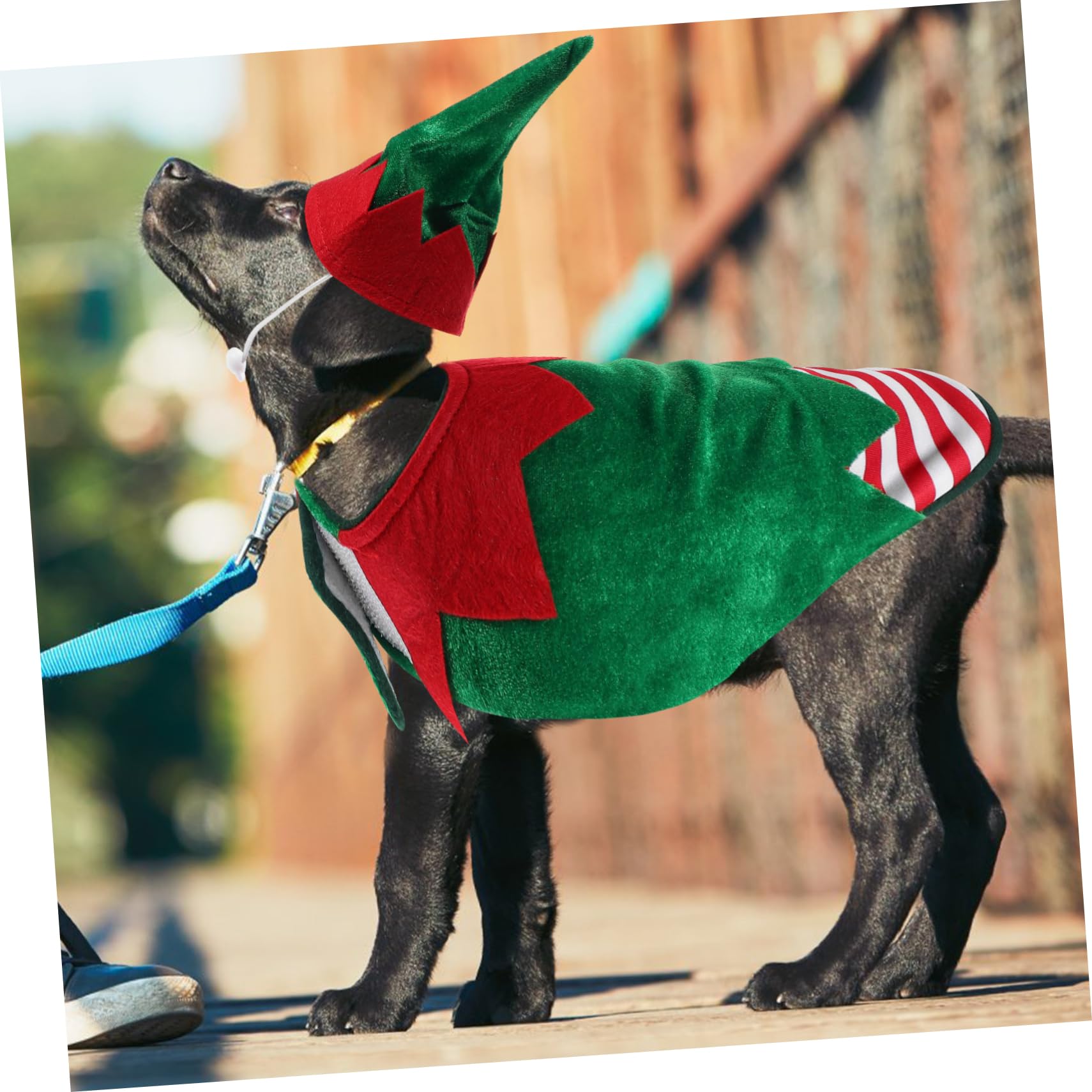 HMJGDHX Costume per Cani di Natale Vestiti per Cani alla Moda per Cuccioli Festa S Vestiti per Animali Domestici in Stoffa di Natale Costume per Feste