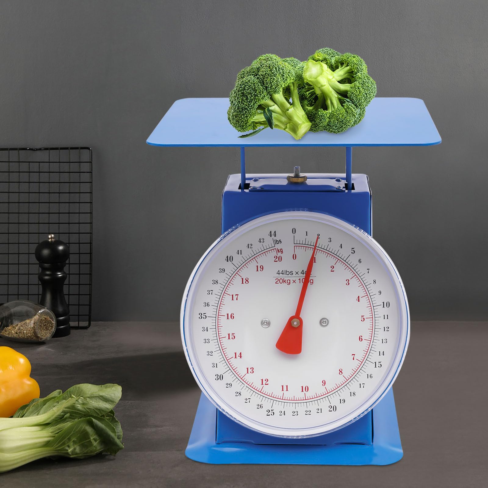 44-LBS Mechanical Scale, Industrial Dial Scale High Accuracy Kitchen and Food Scale for Home Kitchens Small Shops Food Markets Bakeries