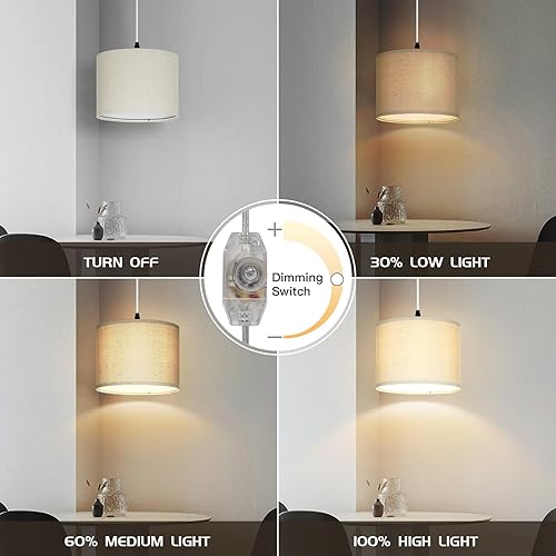 Miniatura 10 de Lámpara colgante enchufable, luz colgante con cable de enchufe con interruptor regulable, lámpara colgante con cable transparente de 15 pies,