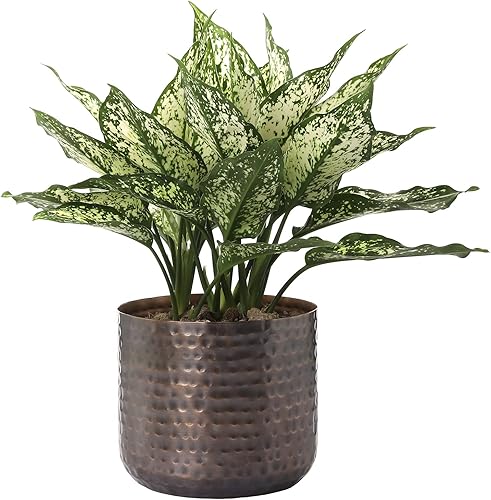 Miniatura 4 de MyGift Jarrón de metal vintage de tono cobre de 6 pulgadas, maceta con textura martillada, contenedor cilíndrico para plantas suculentas de