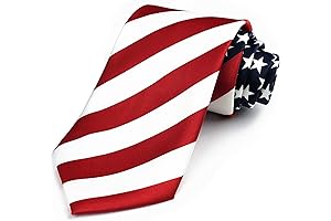 Donald Trump Art Pattern American Flag Engraved Polished Necktie