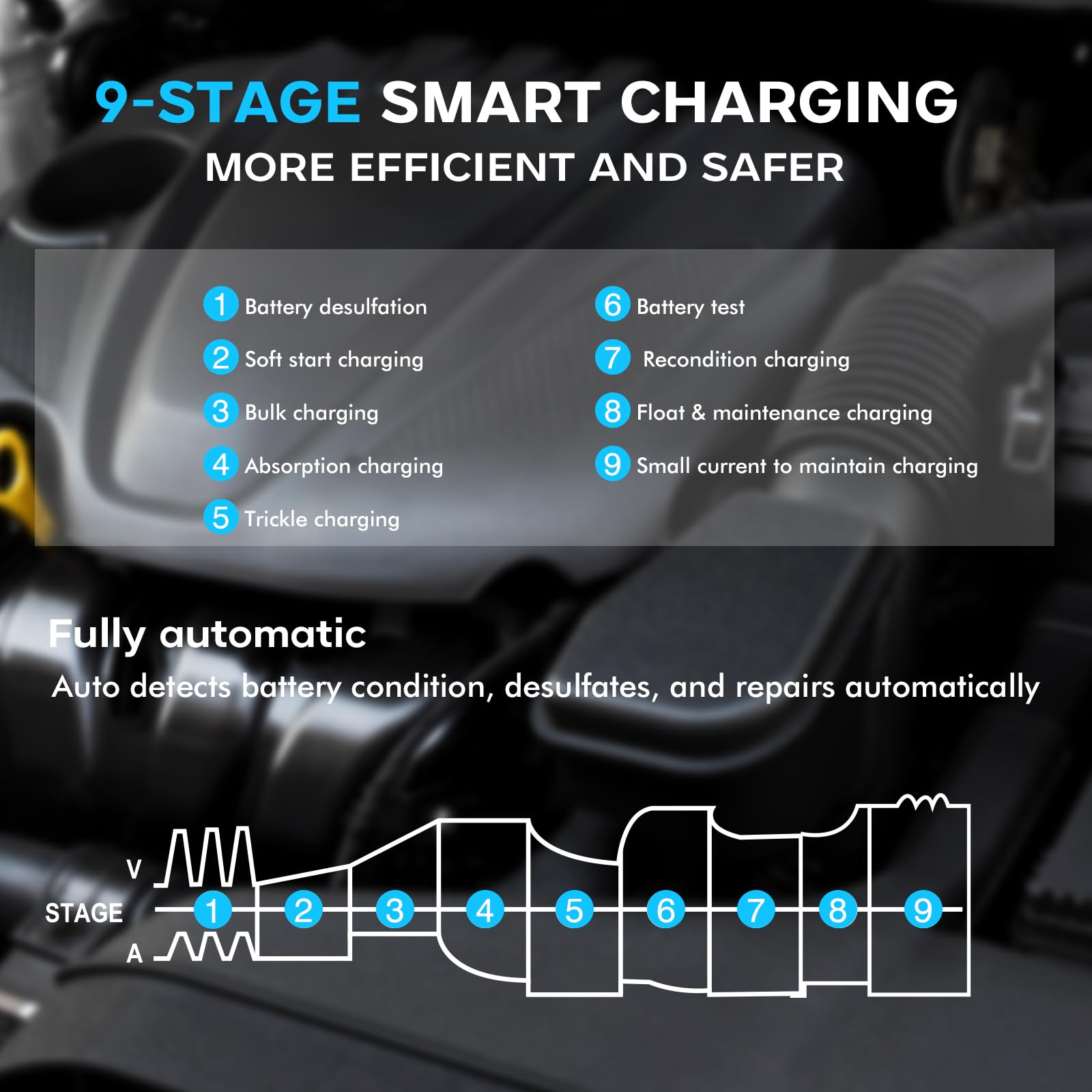 Haisito Caricabatterie per auto C30A, 6 V/12 V/24 V, 30 A, per camion, veicoli agricoli, navi, ecc., batterie al litio, LiFePO4 e batterie al piombo acido (AGM, Gel, MF, EFB, SLA, VRLA).