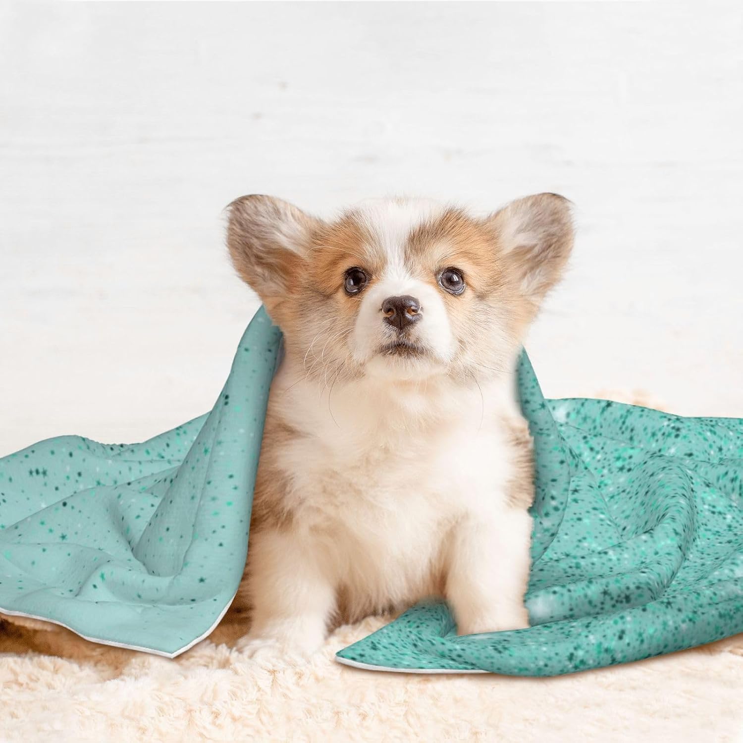 Teal Turquoise Glitter Print Soft Plush Pet Blanket, Washable Dog Blanket, Cat Fleece Throw, Puppy Bed Crate Mat & Sofa Couch Protector - Large