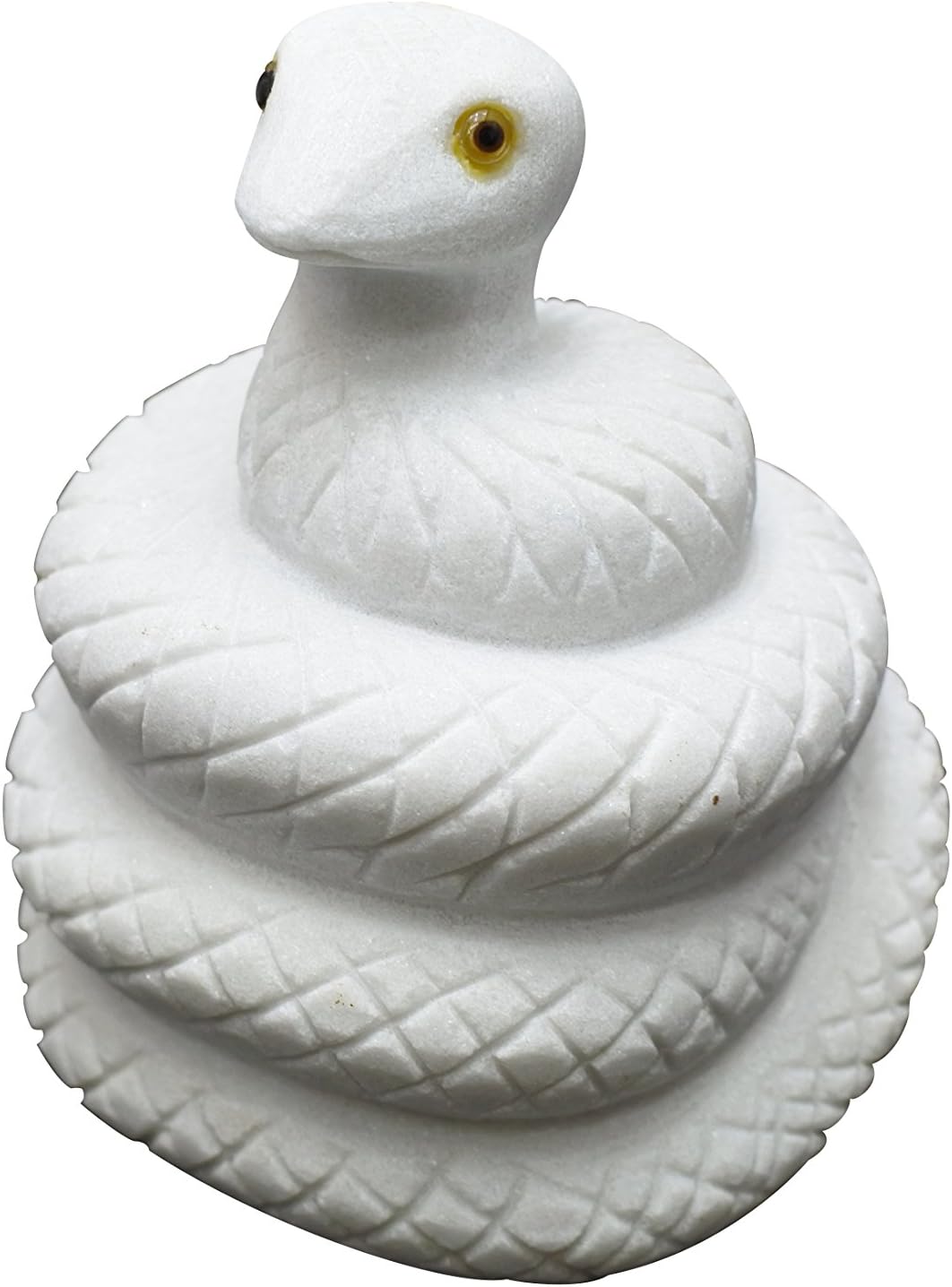 ビカクシダ キッチャクード〔Thin〕 ×リドレイ〔ドワーフF1〕コルク