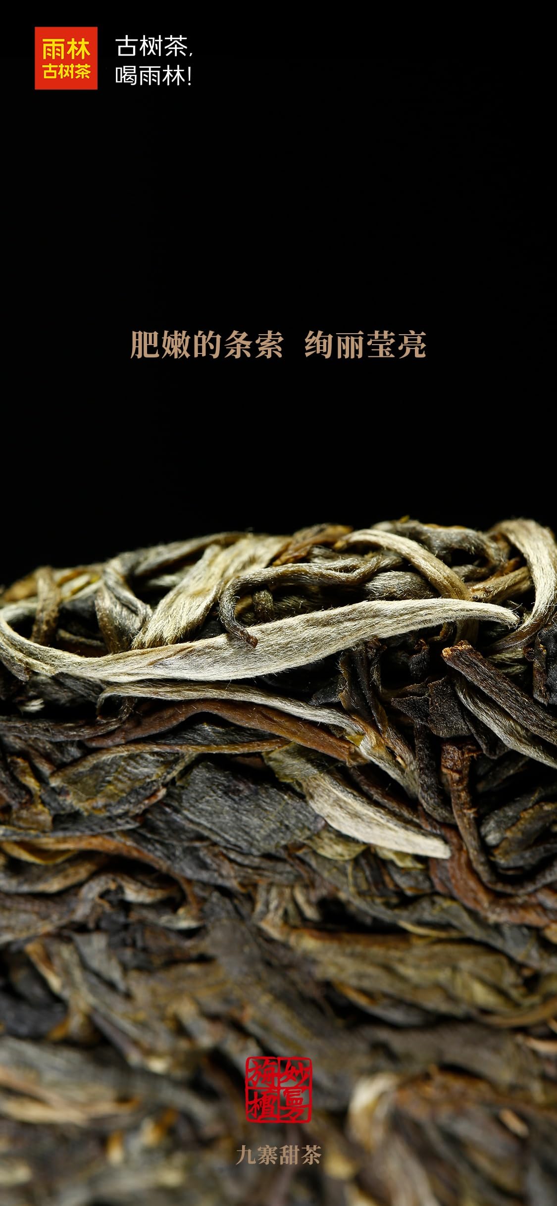 2018 Yulin Miaoman Zhantan Tè Pu-Erh Crudo (Sheng) Albero Antico, 357g