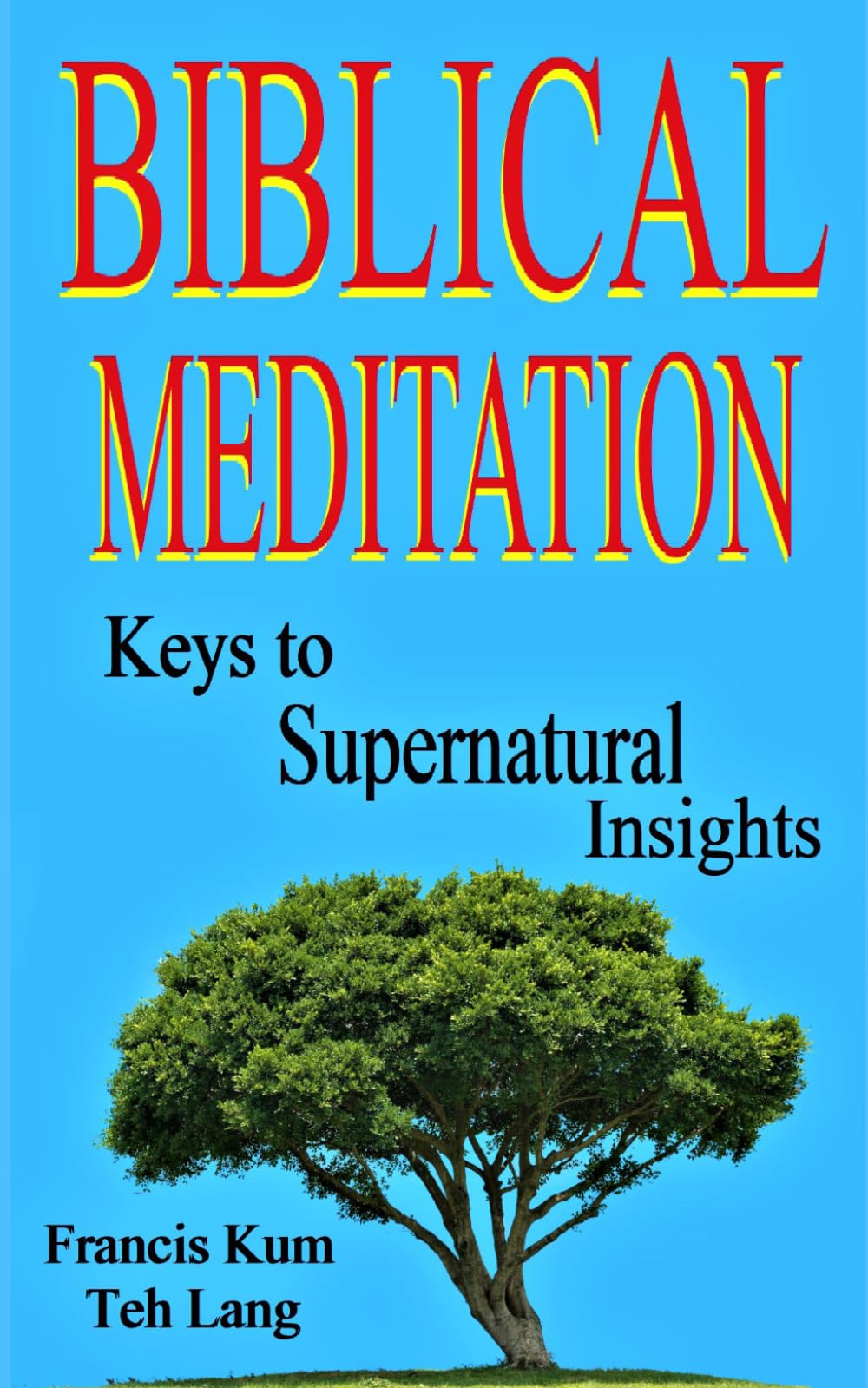 Biblical Meditation: Keys to supernatural insights