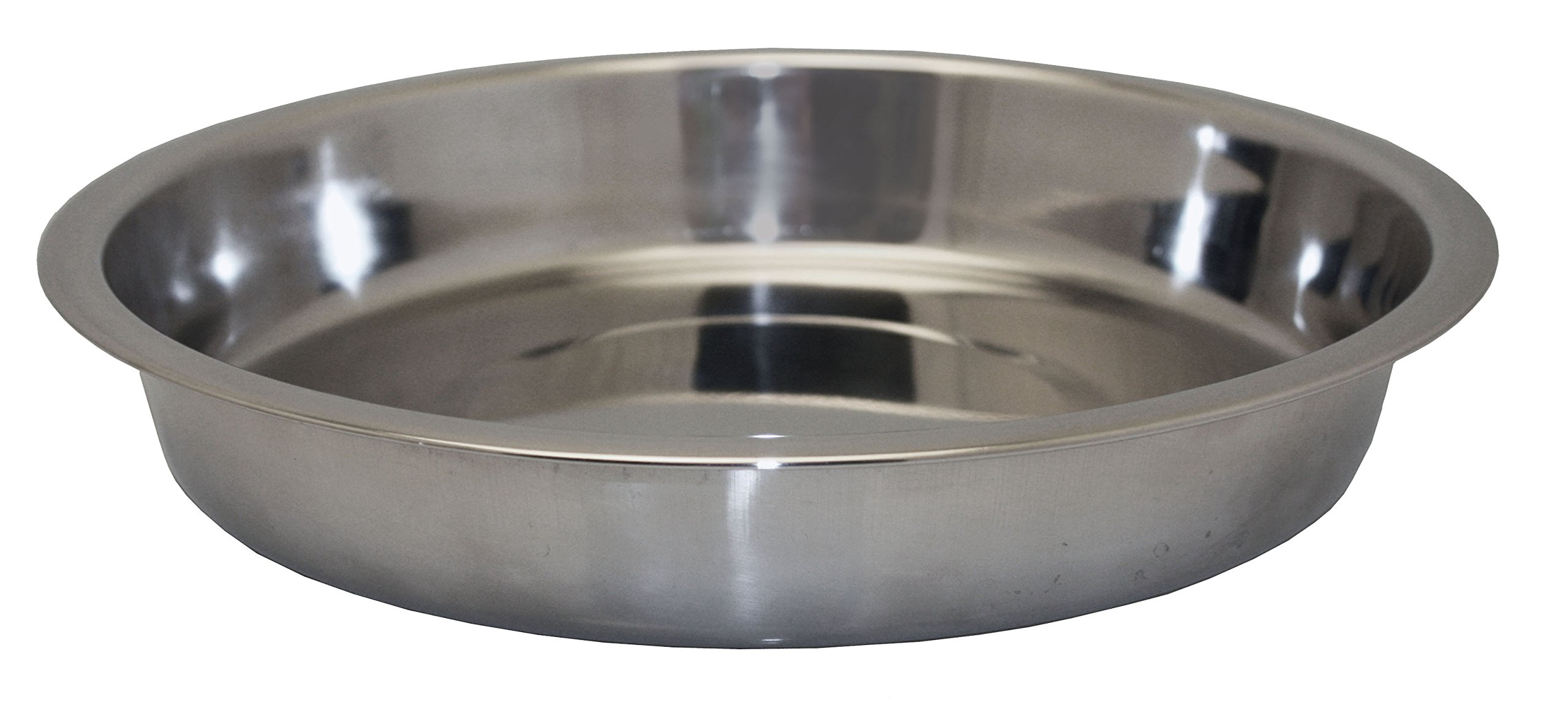 Pet Platter chiot à plateau peu profond 20 cm pour alimentation des jeunes animaux