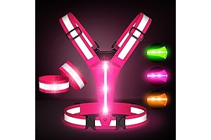 Shining Armor Light Up Lanyard