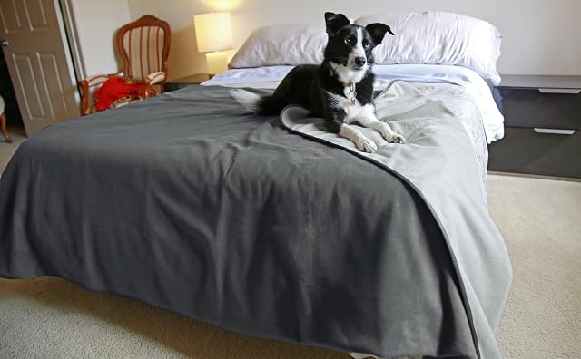 Pawsee Waterproof Bed Blanket, Waterproof Sofa Throw, Waterproof Dog Fleece Blanket, Washable Reversible Furniture Protector Cover 152 x 127 Grey