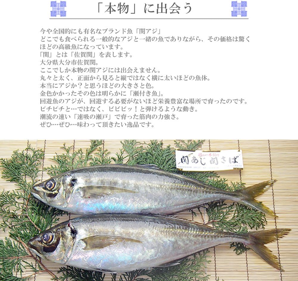 Amazon 大分県佐賀関産 関アジのりゅうきゅう 3パック 関あじ マアジ 鯵 あつめし 温飯 大分県漁業協同組合 鮮魚 通販