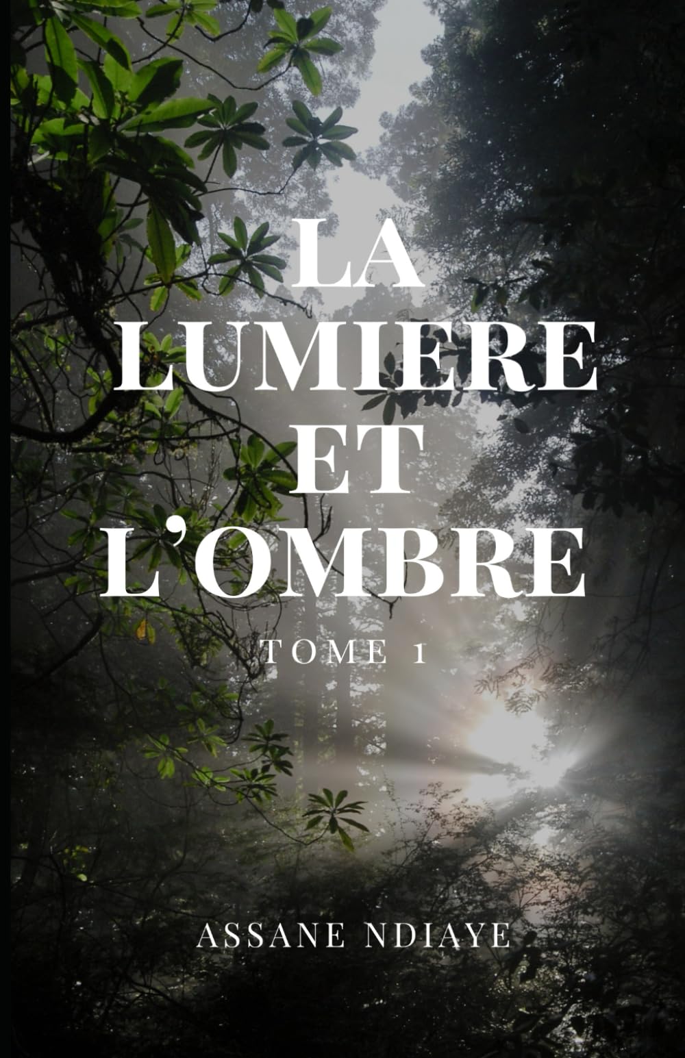 La Lumière et l’Ombre: Réflexions sur Dieu, l’âme et l’équilibre du monde