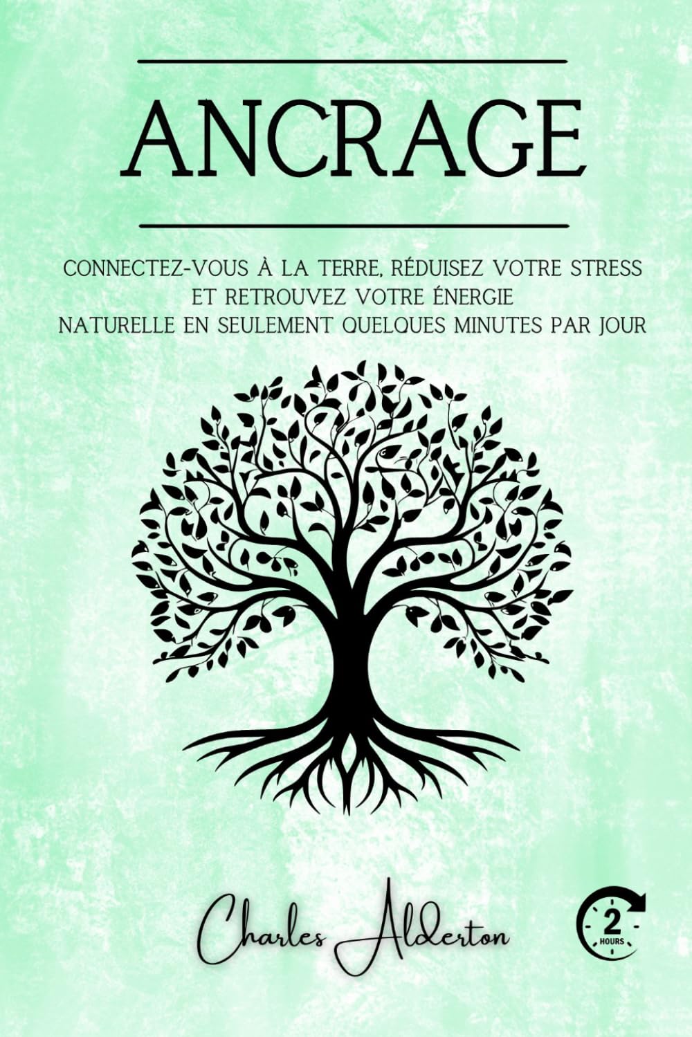 Ancrage: Connectez-vous à la terre, réduisez votre stress et retrouvez votre énergie naturelle en seulement quelques minutes par jour