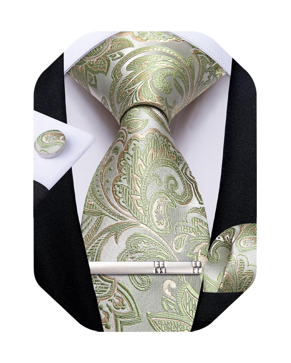 DiBanGu Silk Floral Ties for Men Woven Paisley Necktie