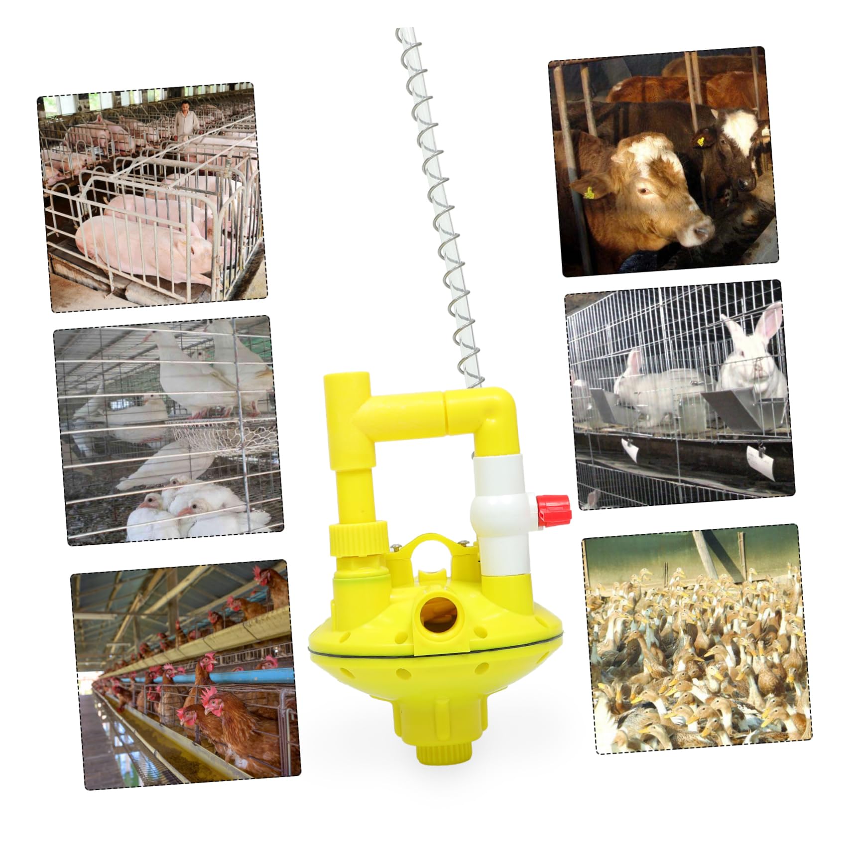 Toyvian Riduttore di Pressione Dell'acqua per Abbeveratoio Automatico Polli, Valvola Regolatrice in Plastica Gialla Design Leggero e Prevenzione Perdite