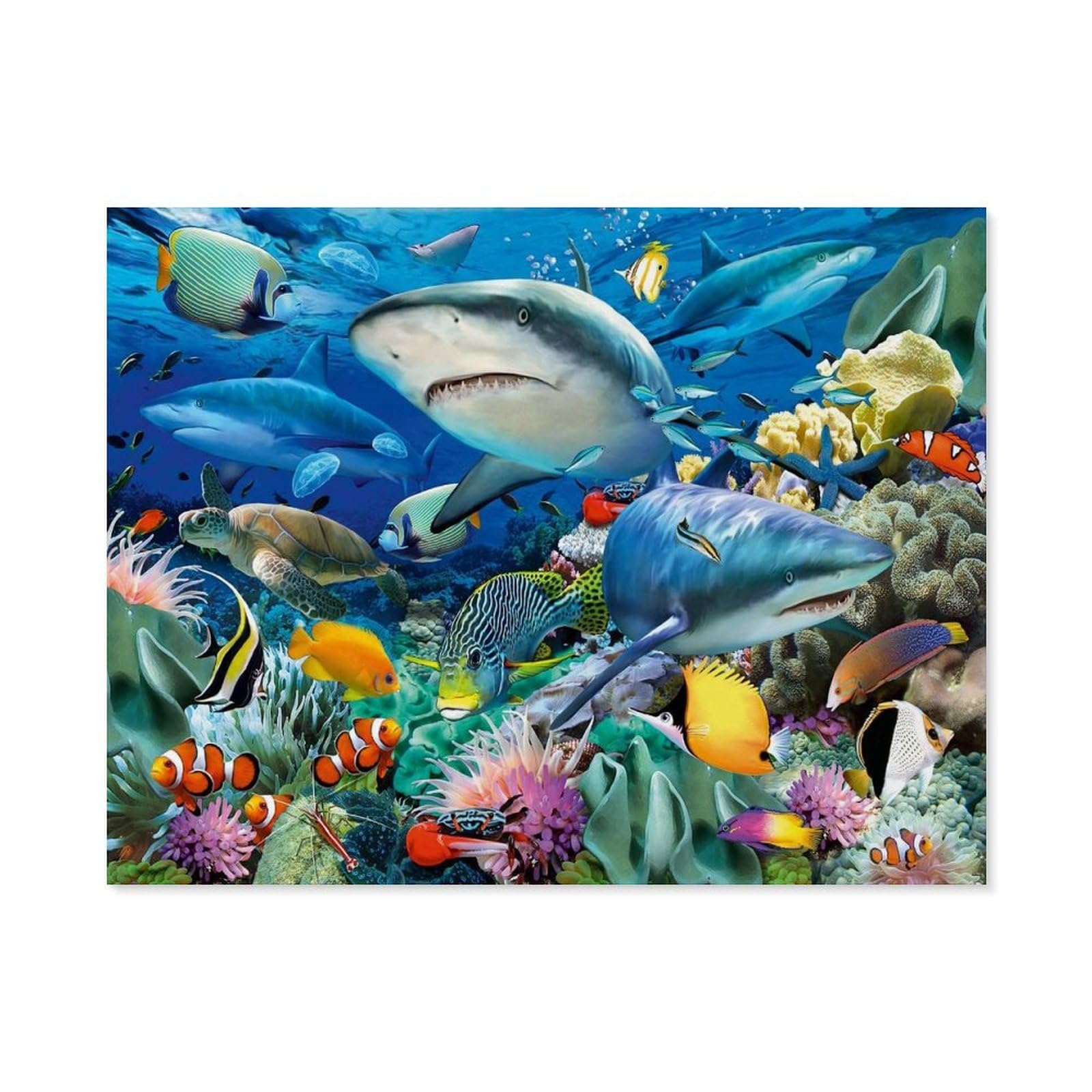 GSBRSNTS Paint by Numbers，Shark Reef，DIY Paint by Numbers Kits for Adults Kids,Canvas Oil Painting with Brushes and Acrylic Pigment Paint by Numbers Arts Craft for Home Wall Decor(50x60cm-A84