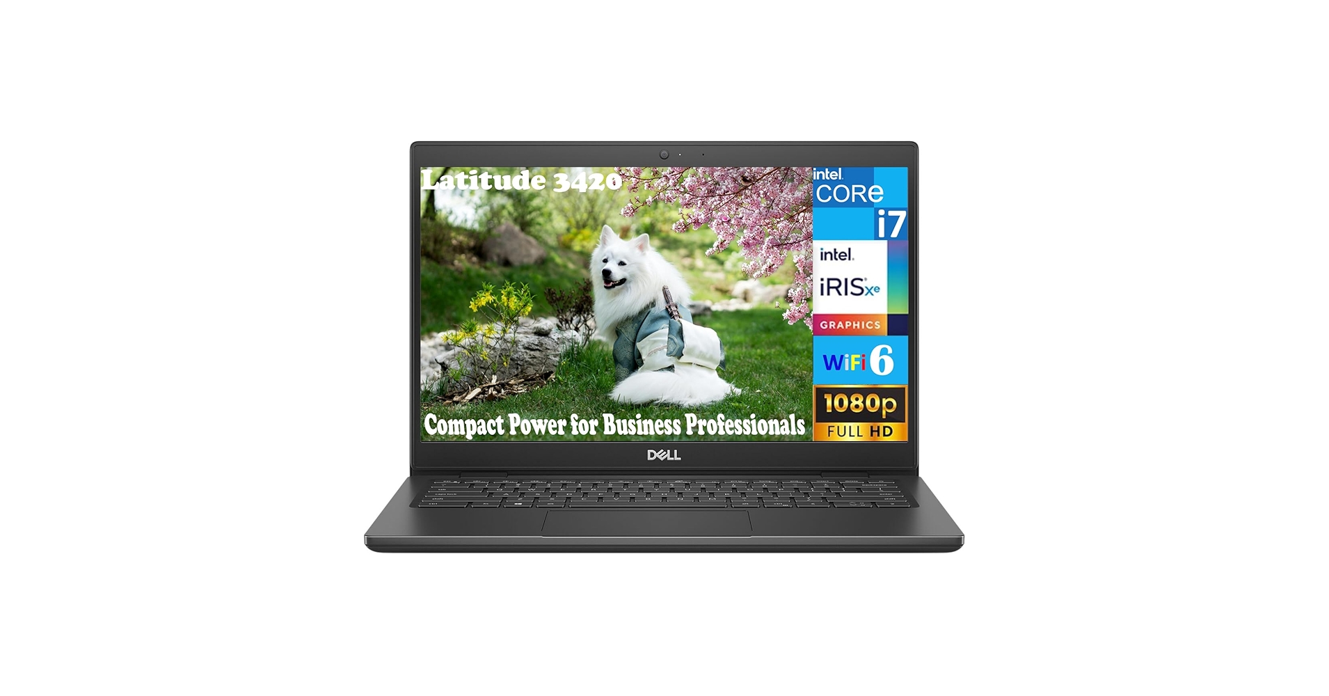 11世代！Nvme(Gen4x4)搭載 DELL Latitude 3420 Dell Latitude 3420 Laptop | 14