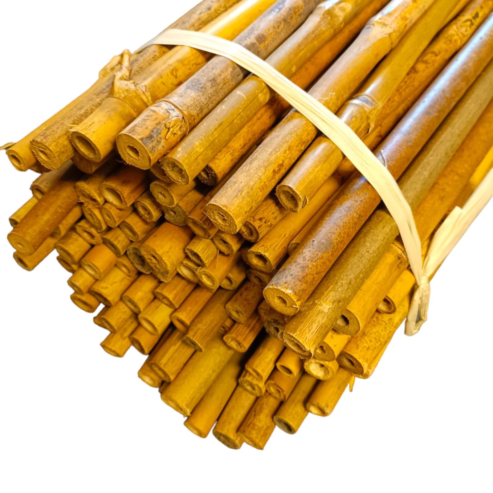 60cm/2FT Bamboo Canes Heavy Duty Professional Plant Support Garden Stakes Sturdy For Flowers, Trees, Vegetables Indoor Outdoor (10)