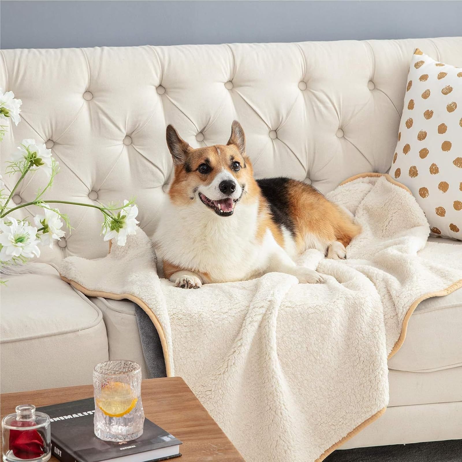 Couverture pour Chien Réversible Chien Hydrofuge Protection pour Canapé Lavable en Machine pour Chiens Et Chats (Color : Beige, Size : L 100 * 160CM/39 * 63IN)