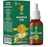 Arifoğlu Eucalyptus Oil 10ml 100% Pure Oil ARLAB Pure Eucalyptus Oil 10ml