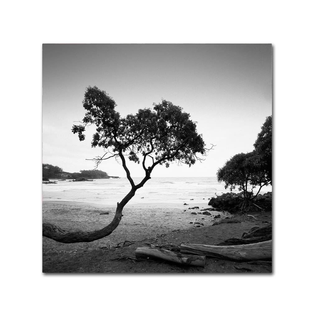 Koki Beach by Rob Cherry, 14x14-Inch Canvas Wall Art