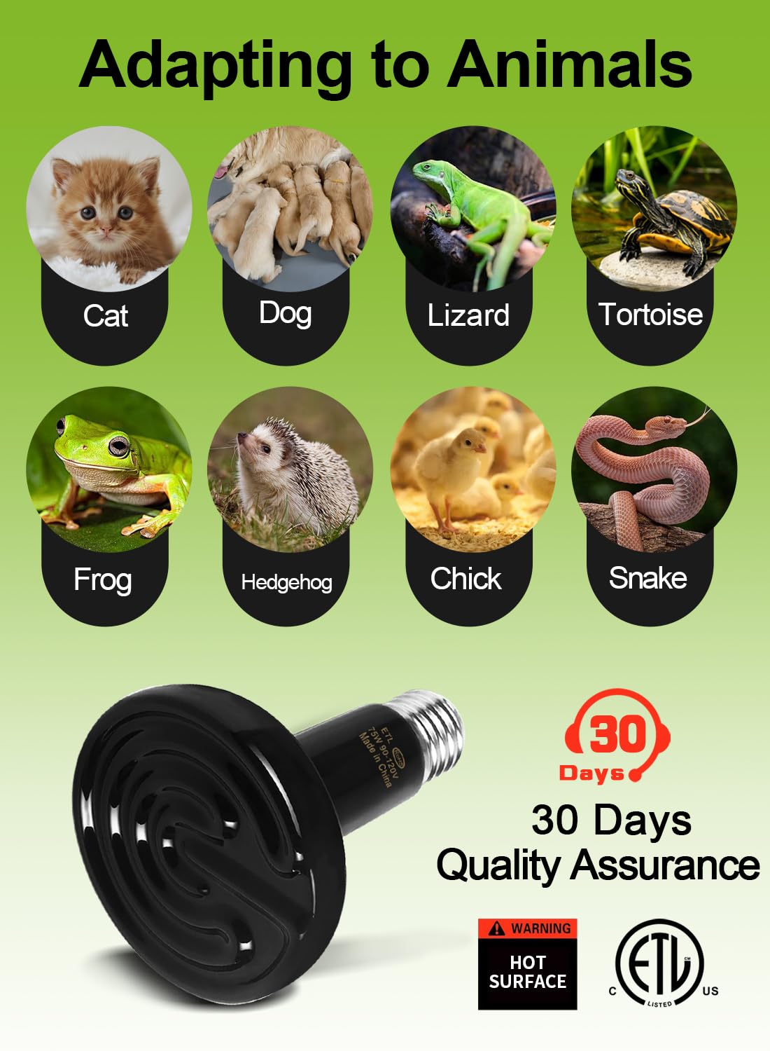 OMAYKEY 75W Ceramic Infrared Emitter - No Light Reptiles Heater, for Bearded Dragons, Lizards, Turtles, Snakes, Amphibians & Chickens - ETL Certified Heat Lamp Bulbs(2 Pack) - image 8