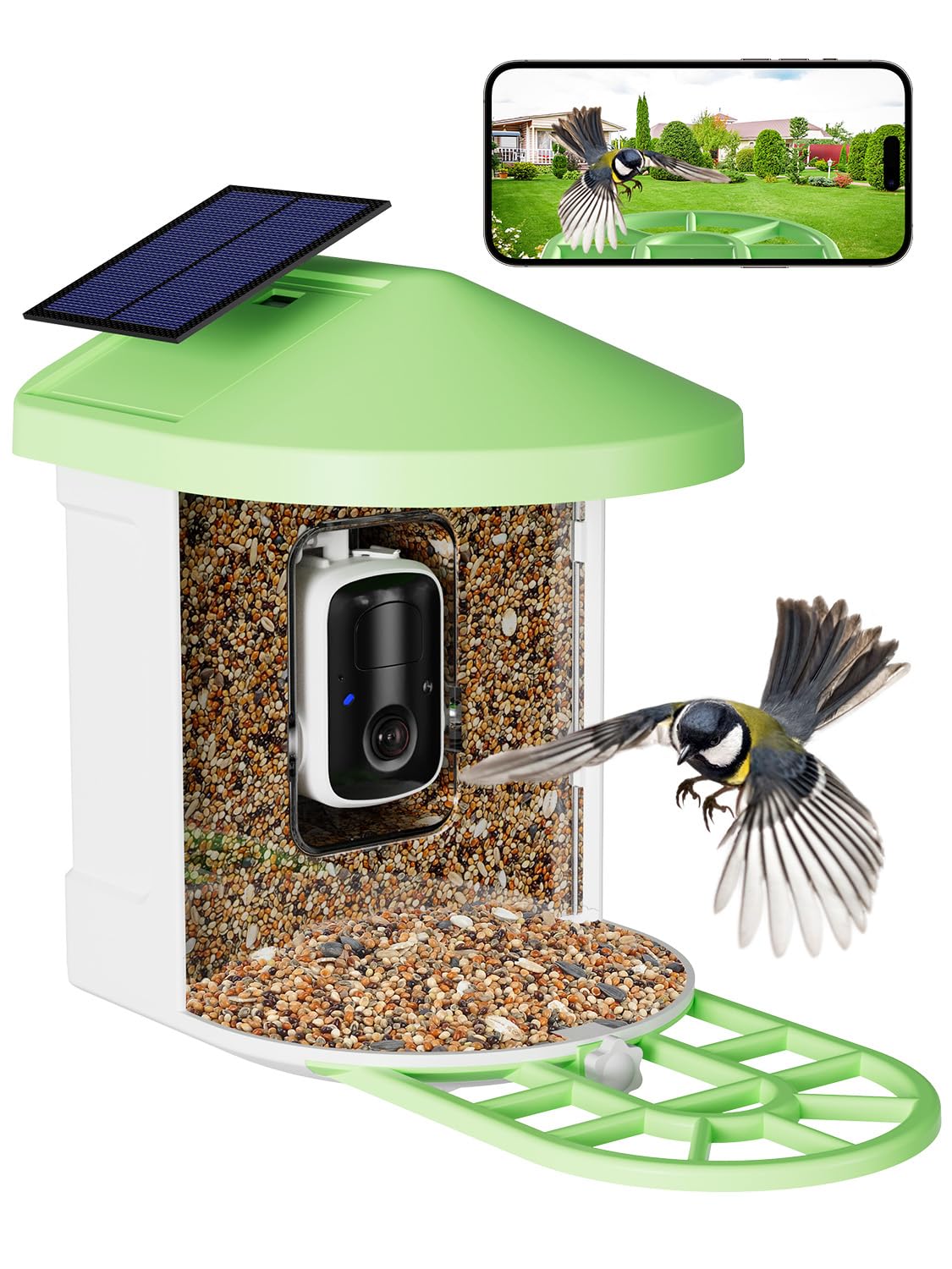Mangiatoia per Uccelli Intelligente con Fotocamera