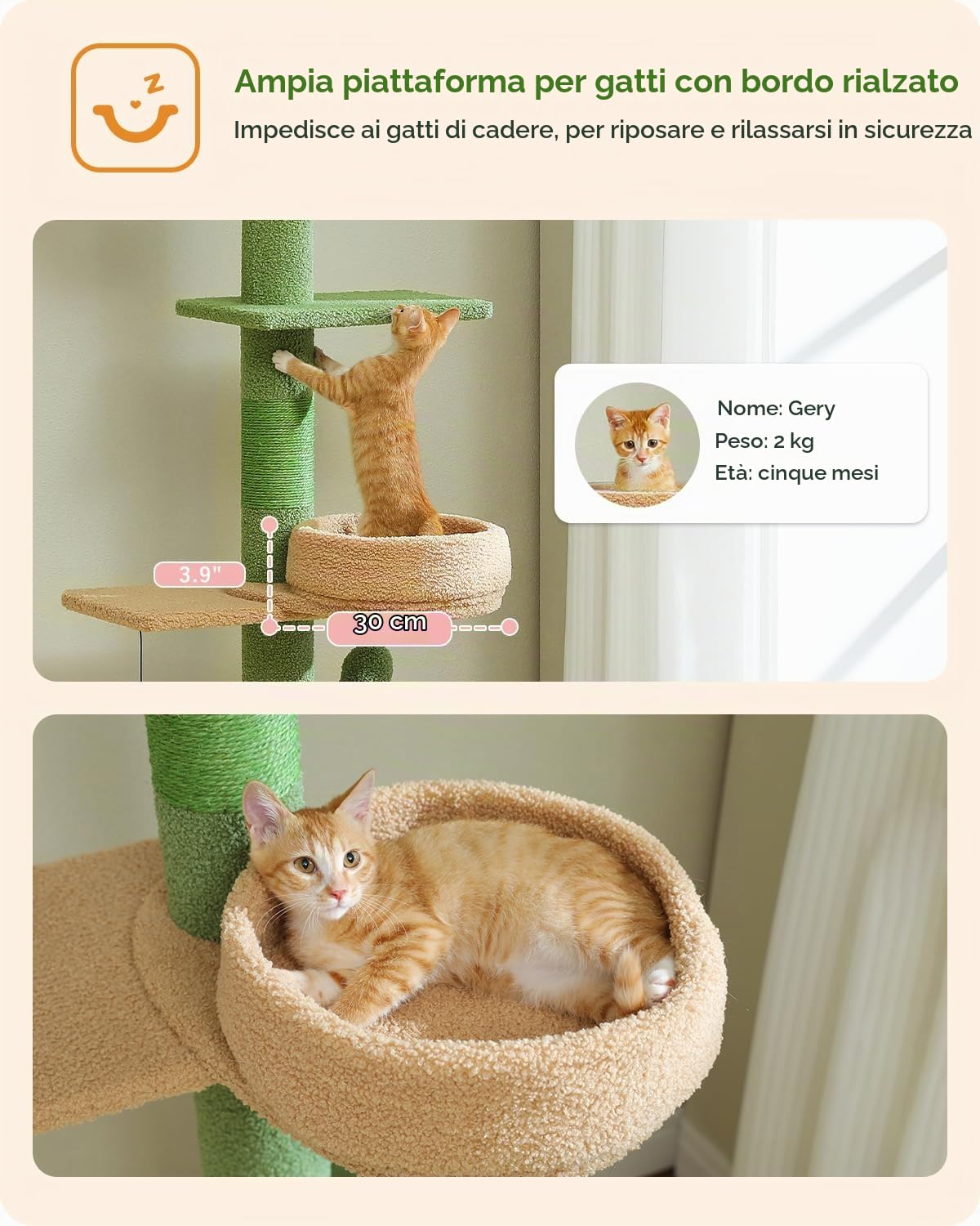 PAWZ Road Albero per gatti a forma di cactus dal pavimento al soffitto, 5 spaziose piattaforme, torre per gatti con tiragraffi spessi 10,5 cm, amaca sostituibile e palline pendenti per gatti interni