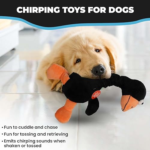 Miniatura 5 de SPOT Juguete para perros Ethical Plush Chirpies Surtido de pájaros de 14 pulgadas