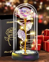 Otlonpe Forever Glass Rose Flower - Presentes femininos para o Natal, Dia dos Namorados, Dia das Mães - Presentes de aniversário para sua esposa, namorada, avó, filha, irmã, decoração de casa de