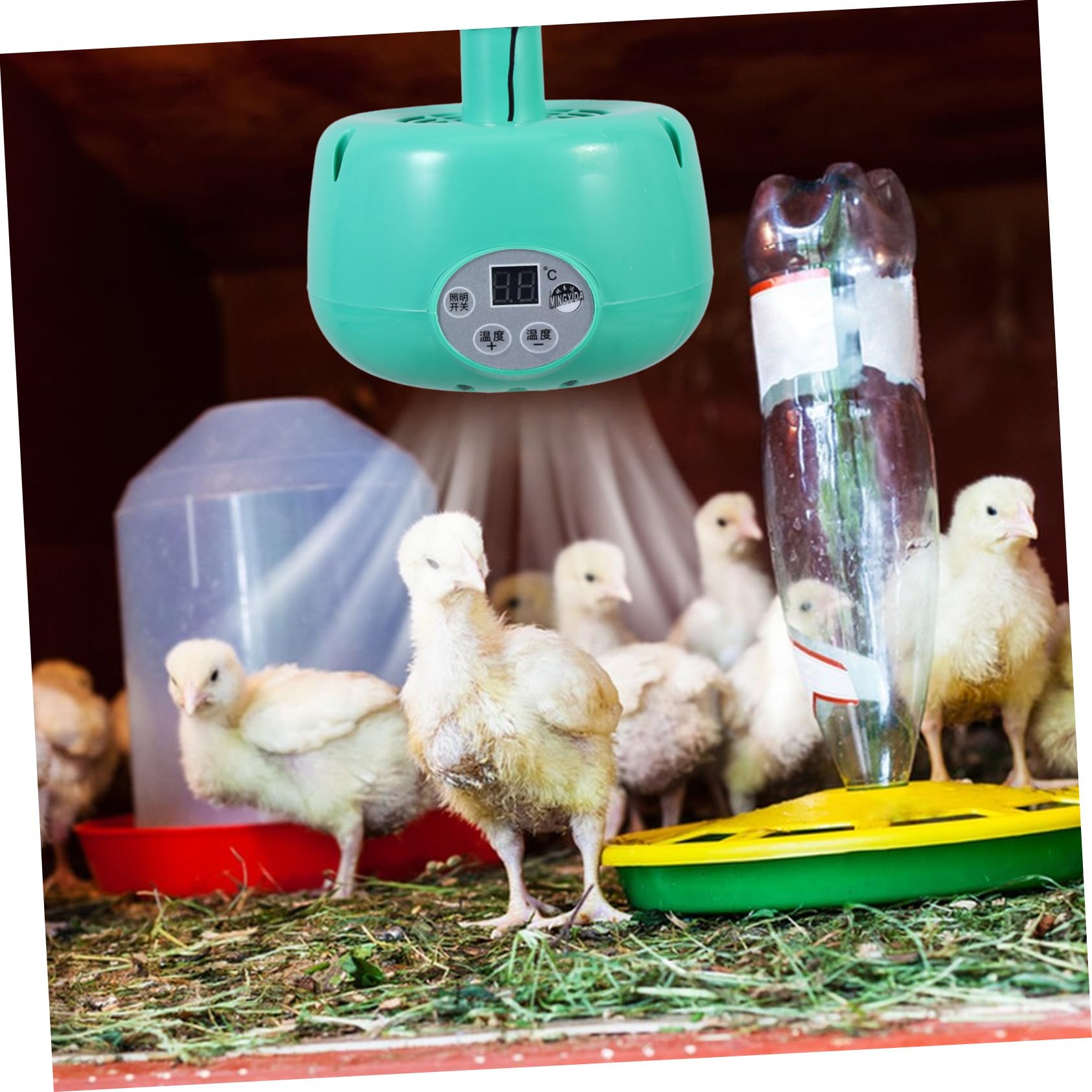INOOMP Lampada Riscaldante per Rettili Temperatura Intelligente Verde | Emissione senza Luce, Corpo in Plastico e Metallo, Adatta per Criceti e Rettili, Alta Efficienza Termica