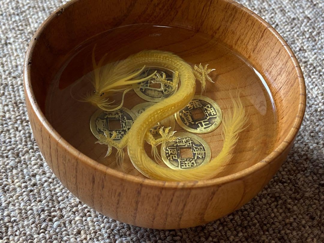 立体絵画　3D龍の絵　茶碗絵古銭　雍正通宝 康熙通宝　開運　風水 招福　商売繁盛 Amazon.co.jp: 立体絵画 3D龍の絵 茶碗絵古銭 雍正通宝 康熙通宝 開運