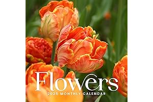 2024 Bloomy Flower Calendar: A Year of Floral Inspiration