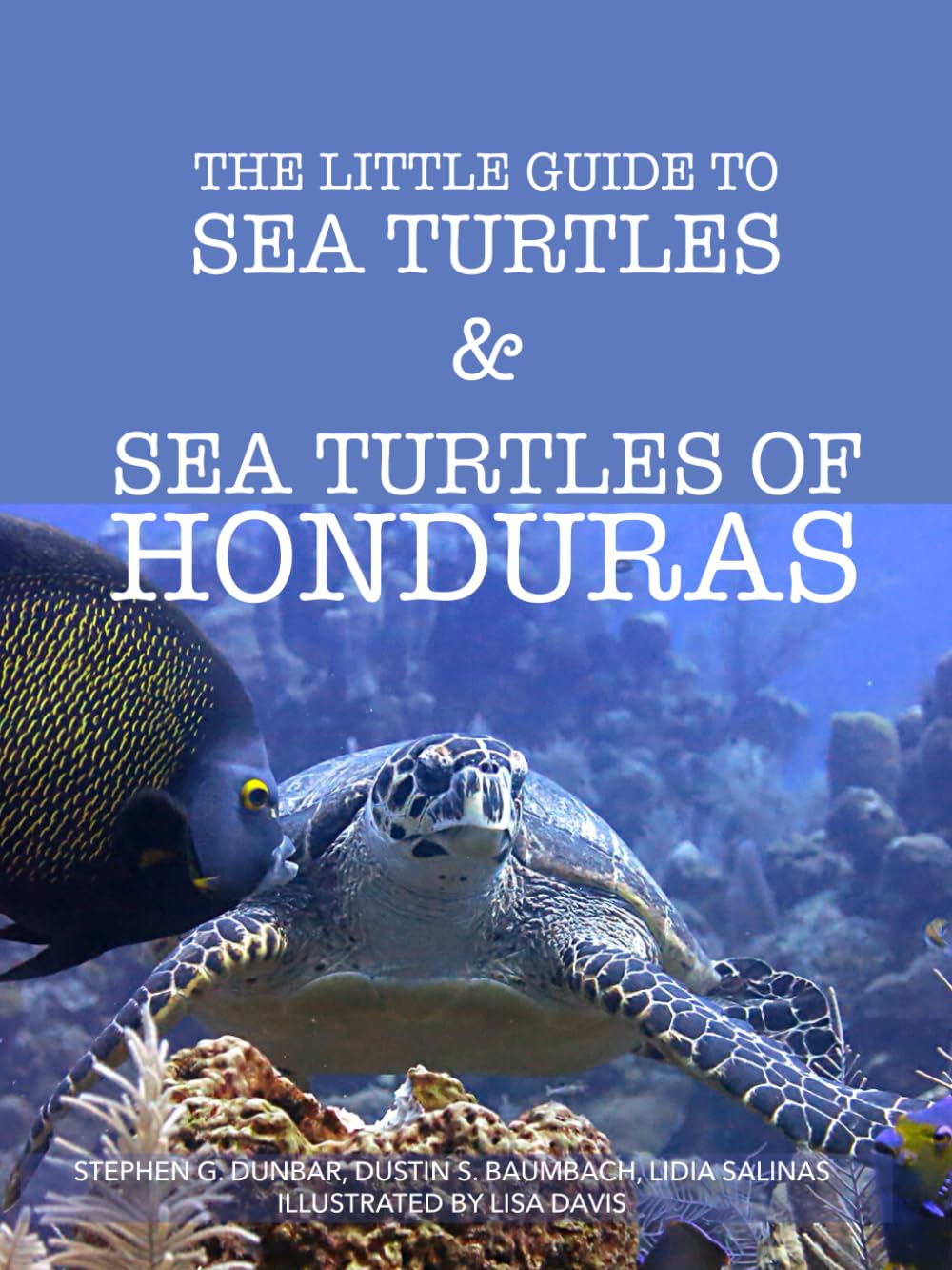 The Little Guide to Sea Turtles & Sea Turtles of Honduras