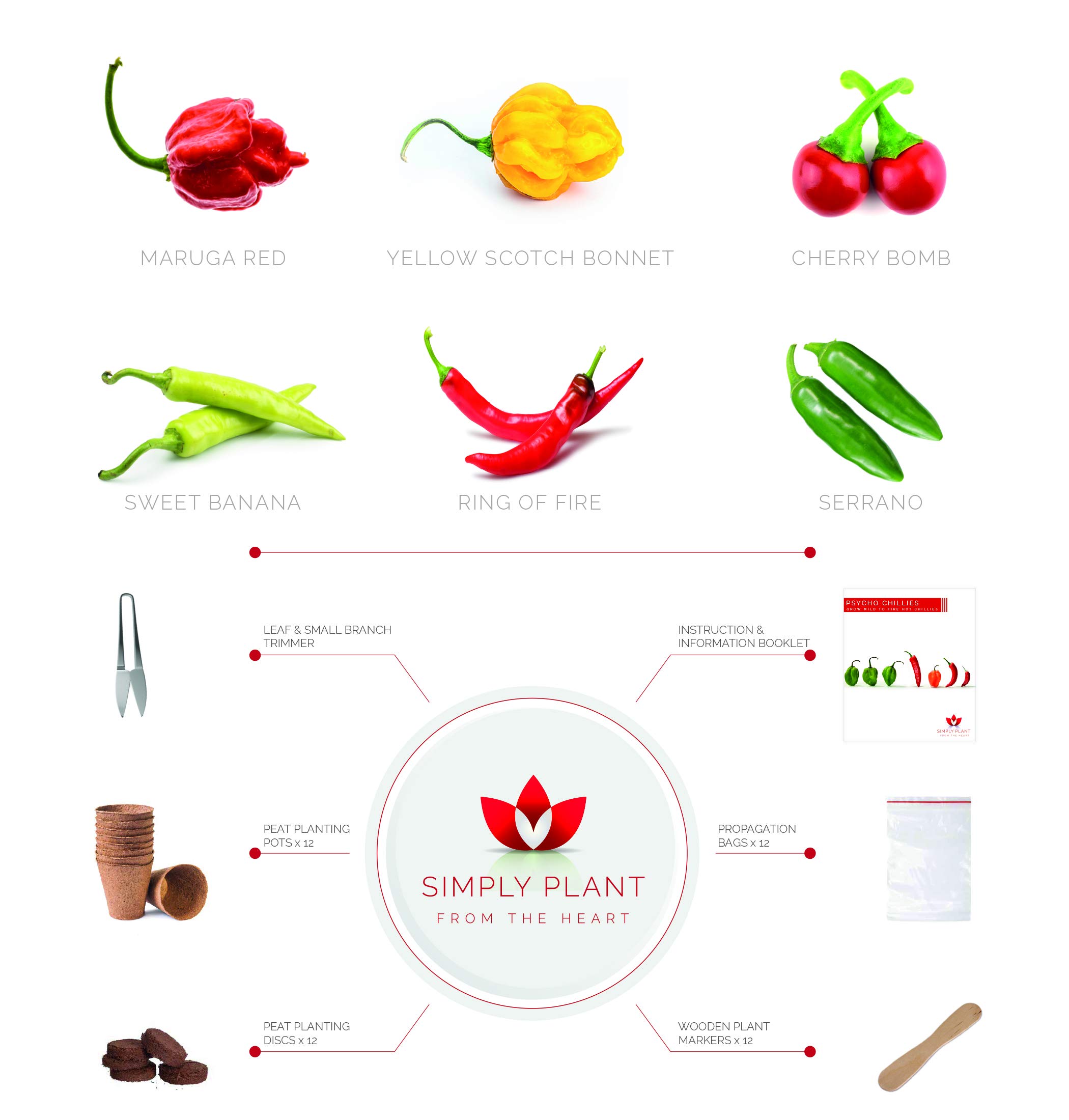 Chilli Seeds Growing kit I Grow Your own Chilli I 6 Varieties ranging