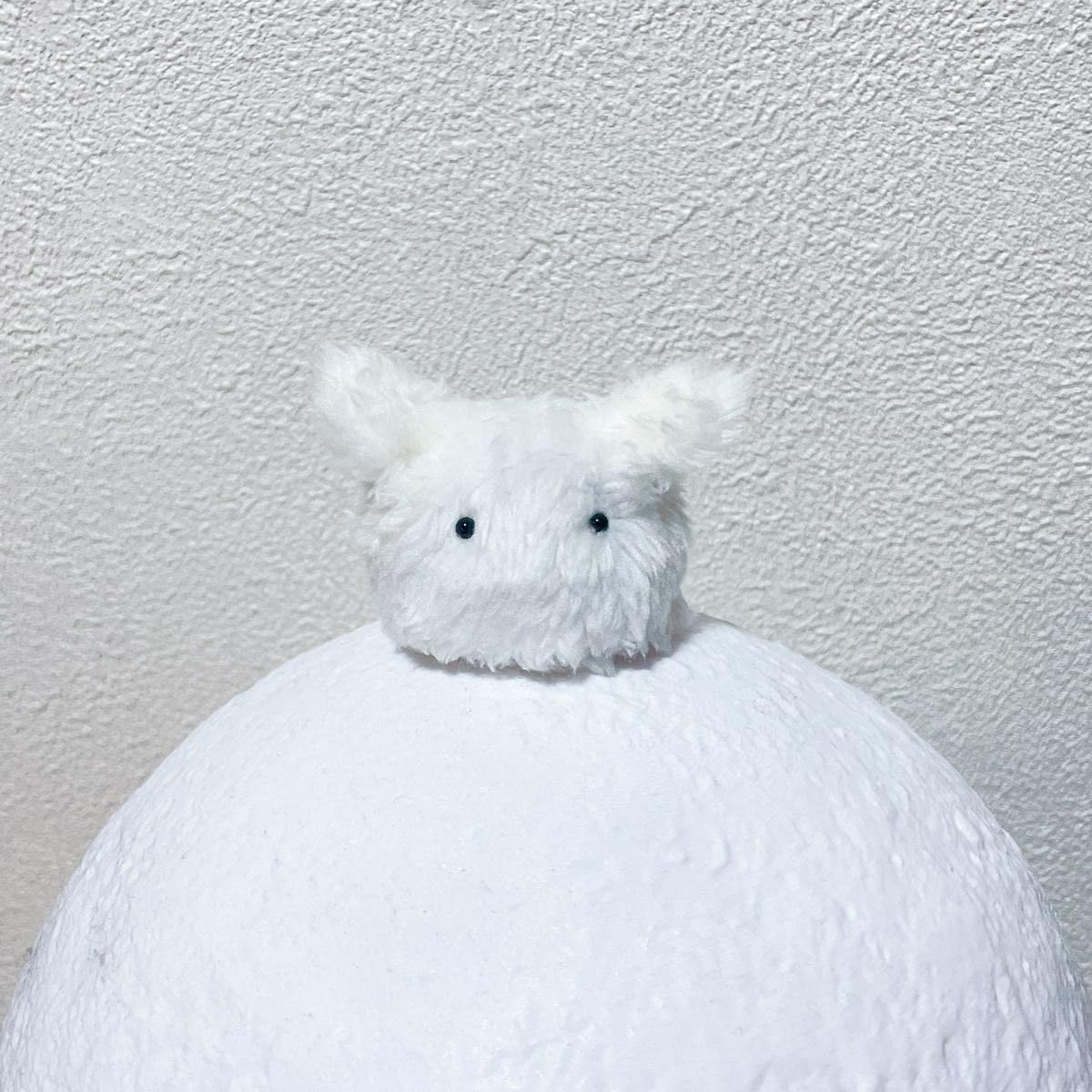 Amazon.co.jp: 妖精もふりー アートドール ハンド ド ぬいぐるみ 