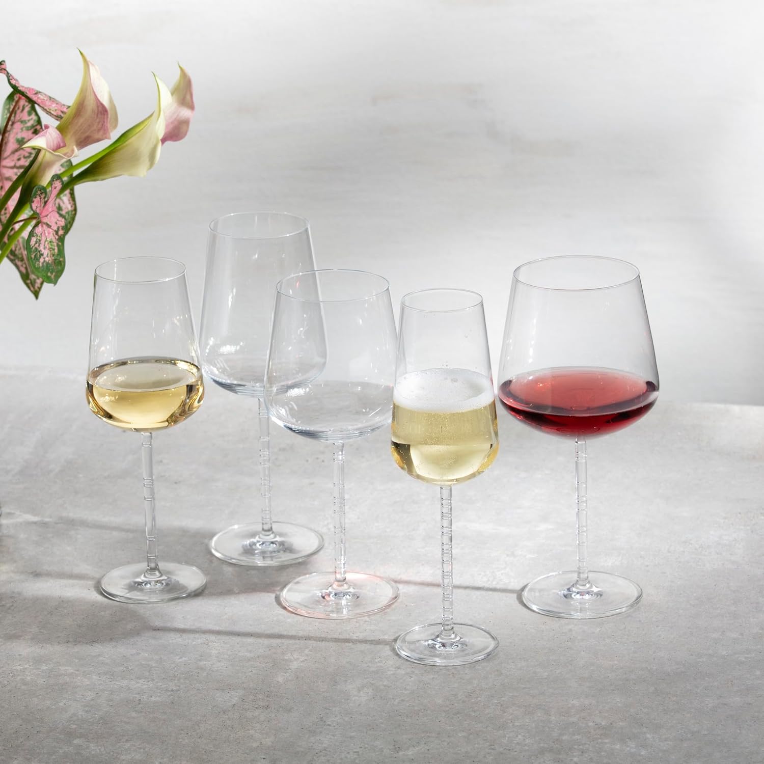 Zwiesel Glas Journey Crystal White Wine Glass, 15 Ounce (Set of 6)