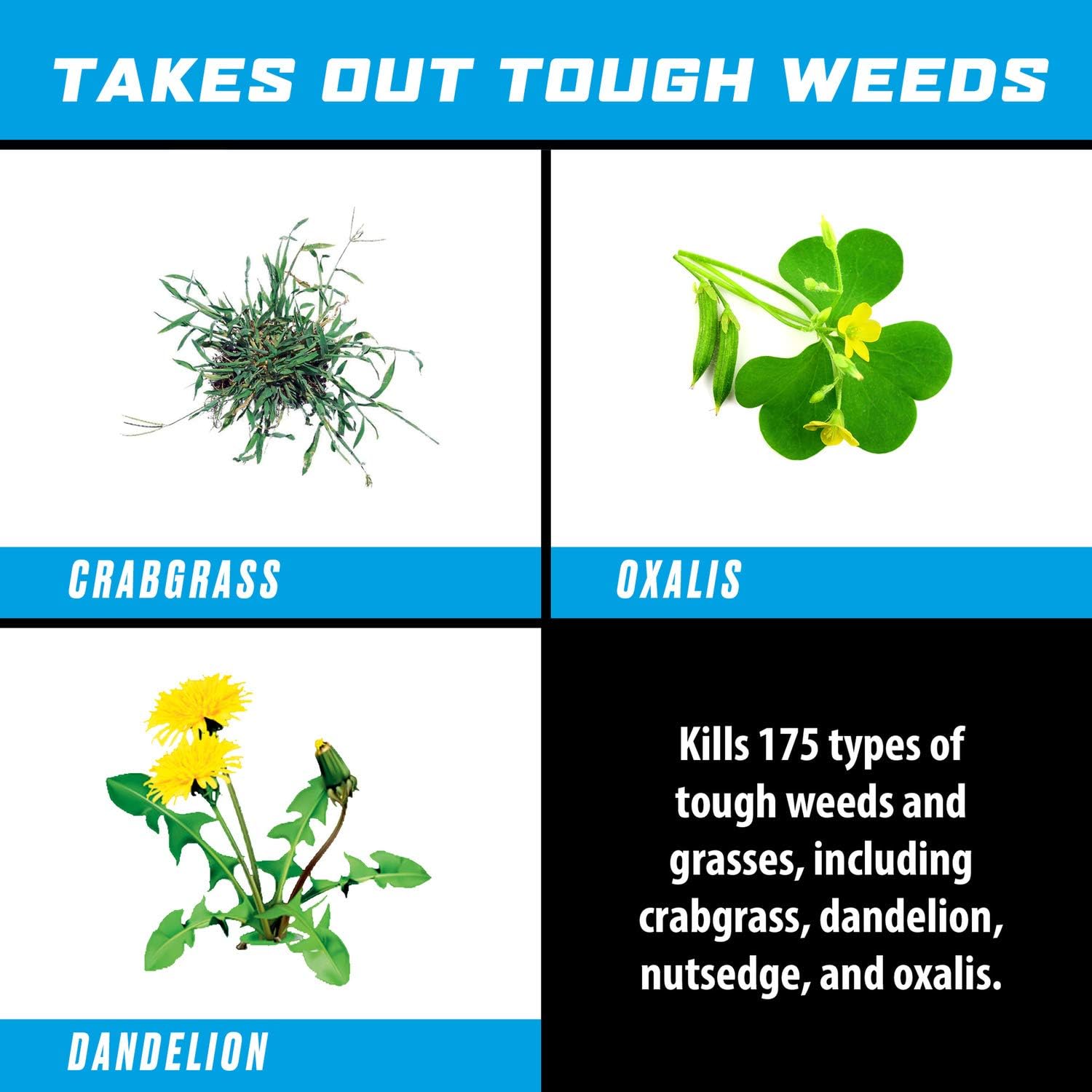 Ortho GroundClear Super Weed & Grass Killer1: with Comfort Wand, Kills to the Root, Fast-Acting, 1 gal. : Patio, Lawn & Garden