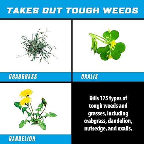 Miniatura 6 de Ortho GroundClear - Super Concentrado eliminador de malezas y hierbas, fórmula de acción rápida que mata las malas hierbas y hierbas más duras, 32