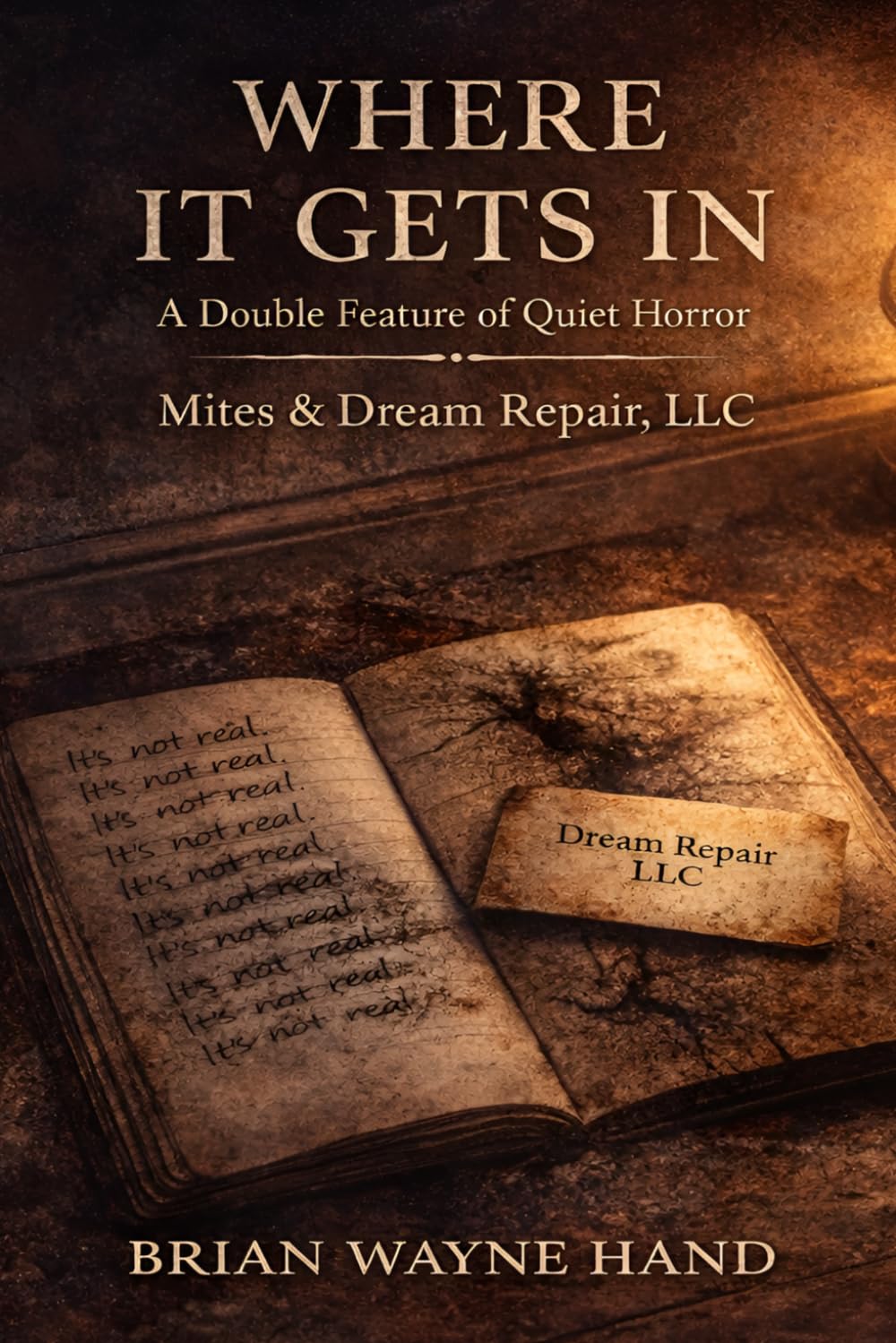 Where It Gets In: A Double Feature of Quiet Horror – Mites & Dream Repair, LLC