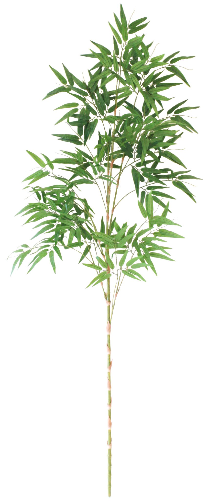 Amazon｜山久 造花 七夕飾り 笹 約180cm シルクフラワーの笹竹 特大