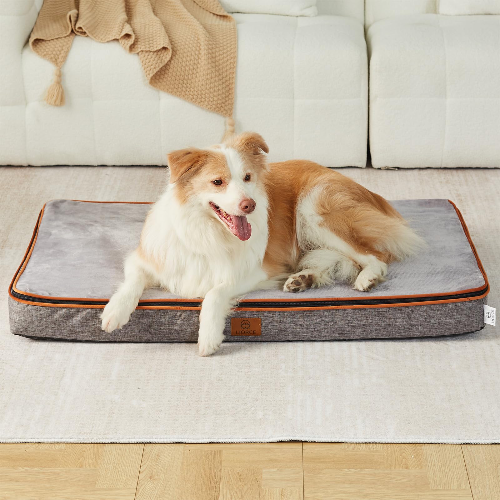 LIORCE Memory Foam XL Dog Bed - 4” Thick Orthopedic Beds for Extra Large Dogs - Waterproof Dog Bed with Removable Washable Cover & Wrap-Around Zipper