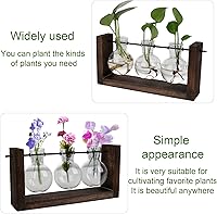Vista 2 de Terrario para plantas con soporte de madera, jarrón de propagación de mesa, macetas hidropónicas de vidrio, maceta de aire, florero de vidrio