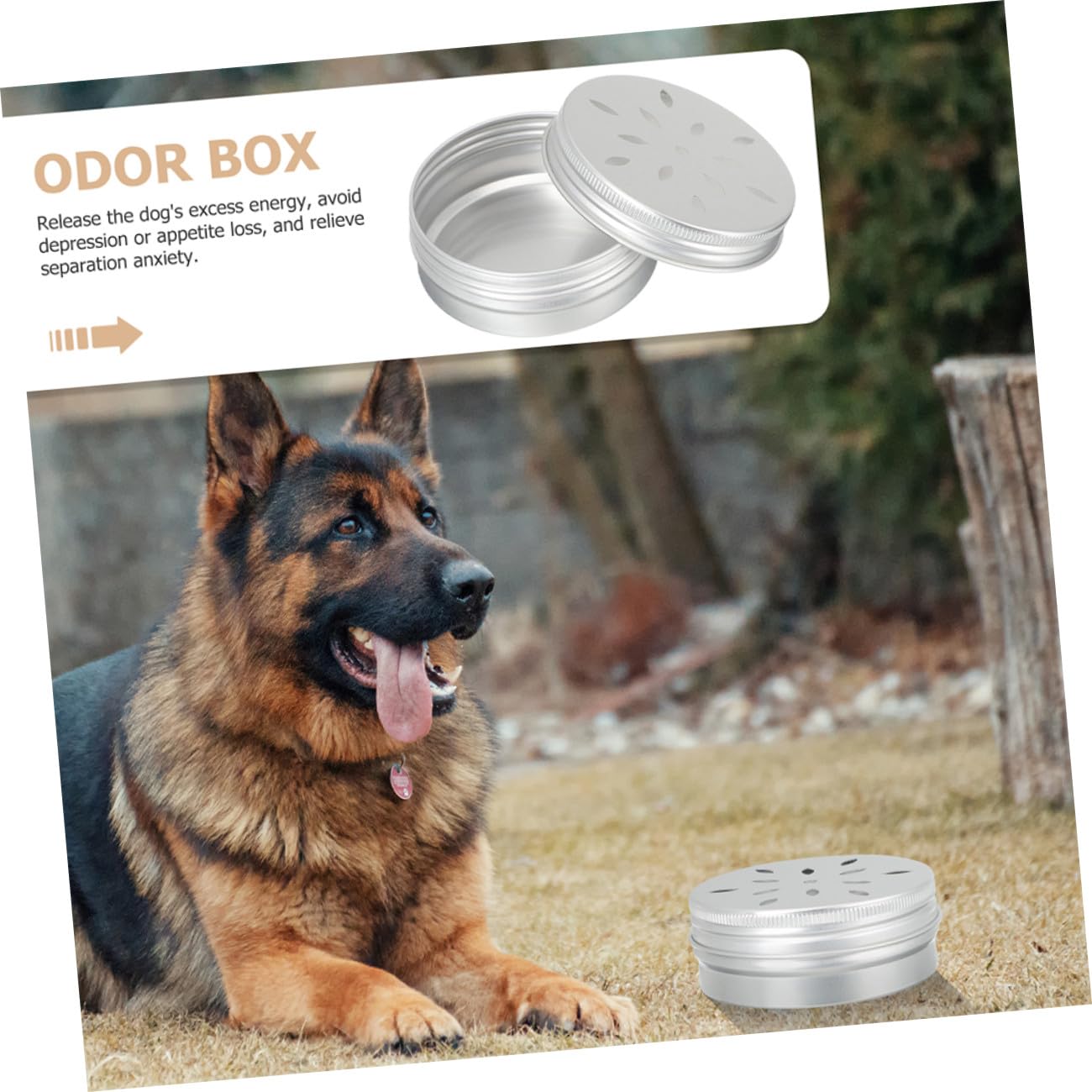 Generico Kit Allenamento Olfattivo per Cani Dell'attività e Riduzione Stress per Addestramento all Olfatto 12 Scatole in Alluminio da 60ml