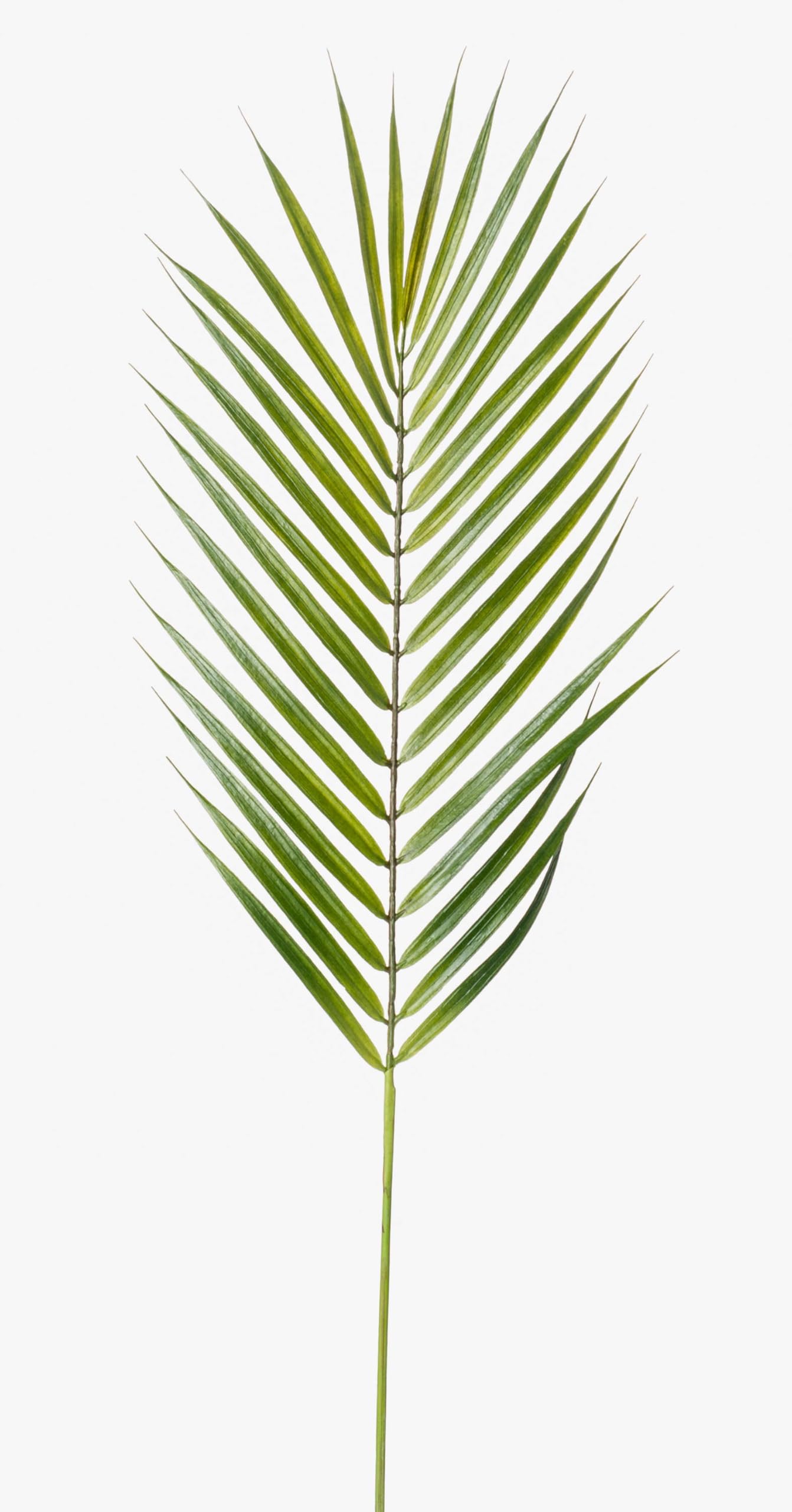 artplants.de Artificial Bamboo palm frond EMILIO with 33 leaves, green, 30"/75cm - Artificial foliage/Decorative palm frond