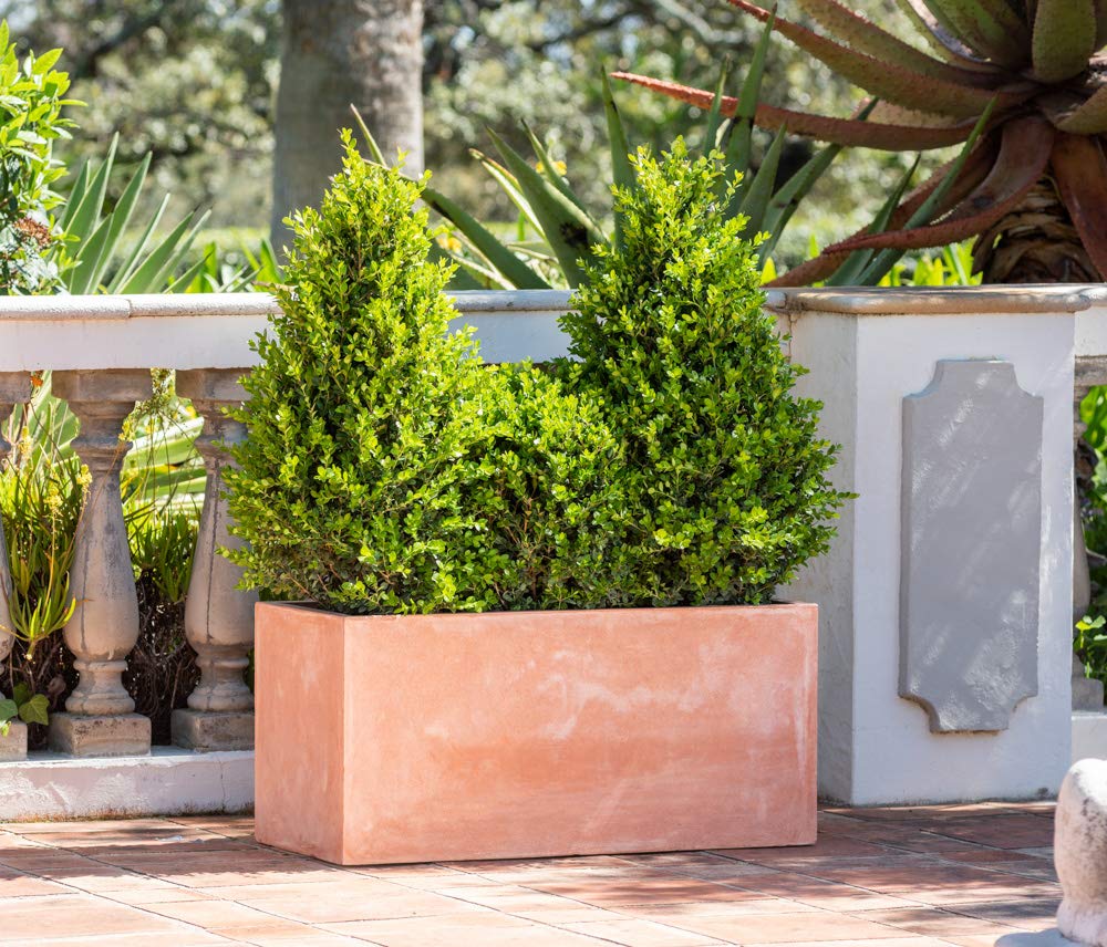 Primrose Garden Outdoor Fibrecotta Terracotta Trough Rectangular Planter Small 20cm³ (7¾in³)