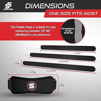 Motion Palpation of the Extremity 上下巻セット 71kuaqW9qaL._AC_UF350,